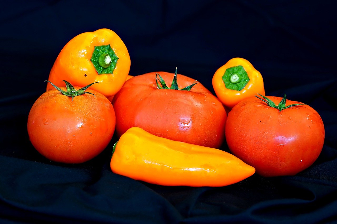 Best Tips for Growing Peppers in Your Garden